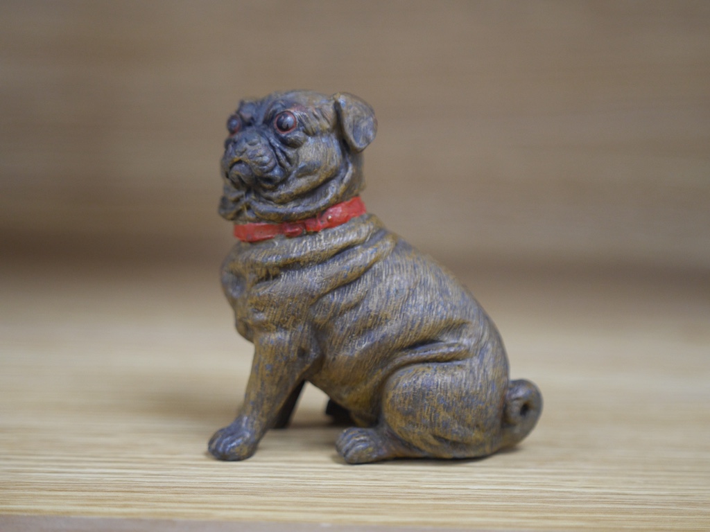 An early 20th century cold painted metal pug dog, 10.5cm high. Condition - good